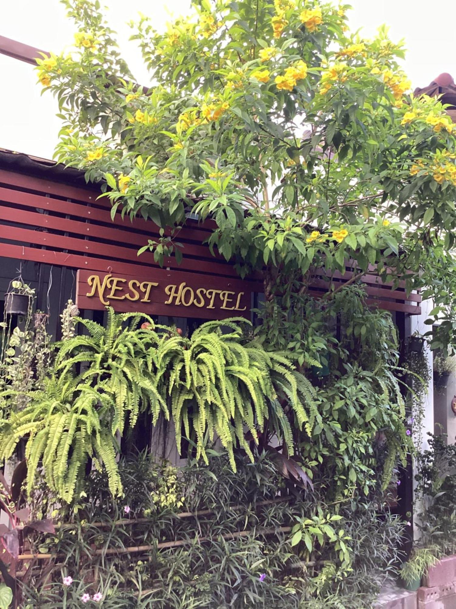 Nest Hostel Lipe المظهر الخارجي الصورة