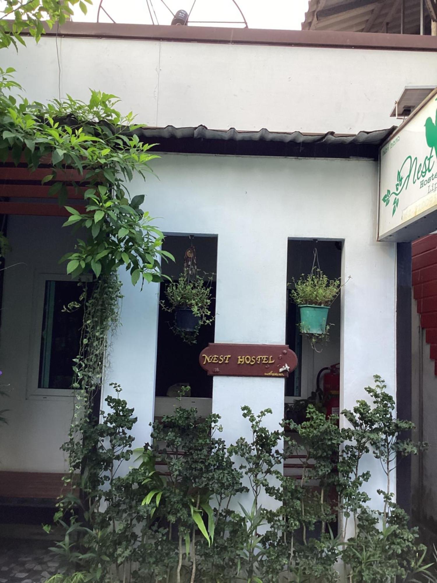Nest Hostel Lipe المظهر الخارجي الصورة