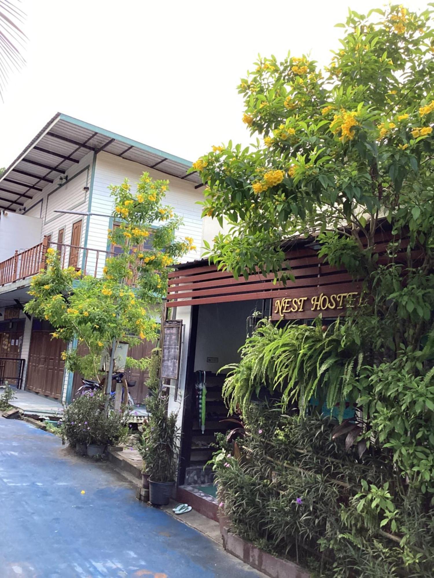 Nest Hostel Lipe المظهر الخارجي الصورة
