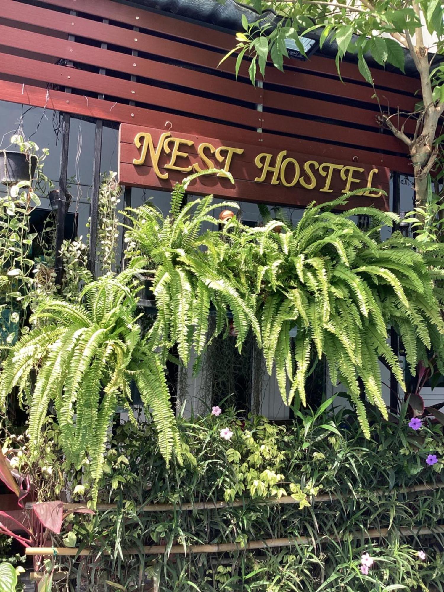 Nest Hostel Lipe المظهر الخارجي الصورة
