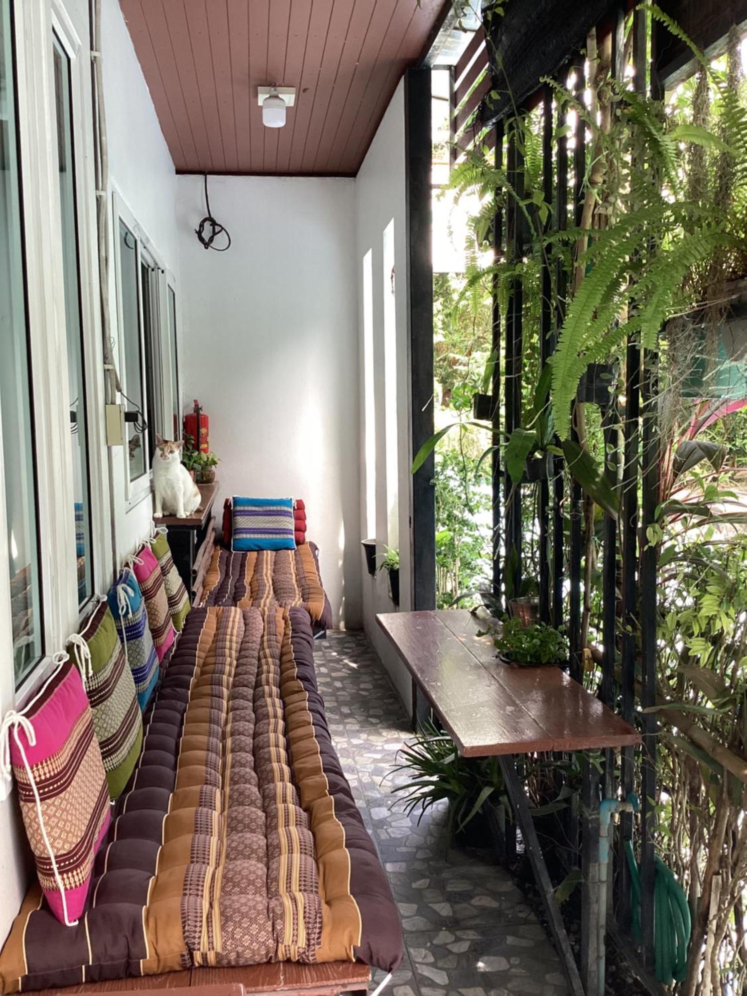 Nest Hostel Lipe المظهر الخارجي الصورة