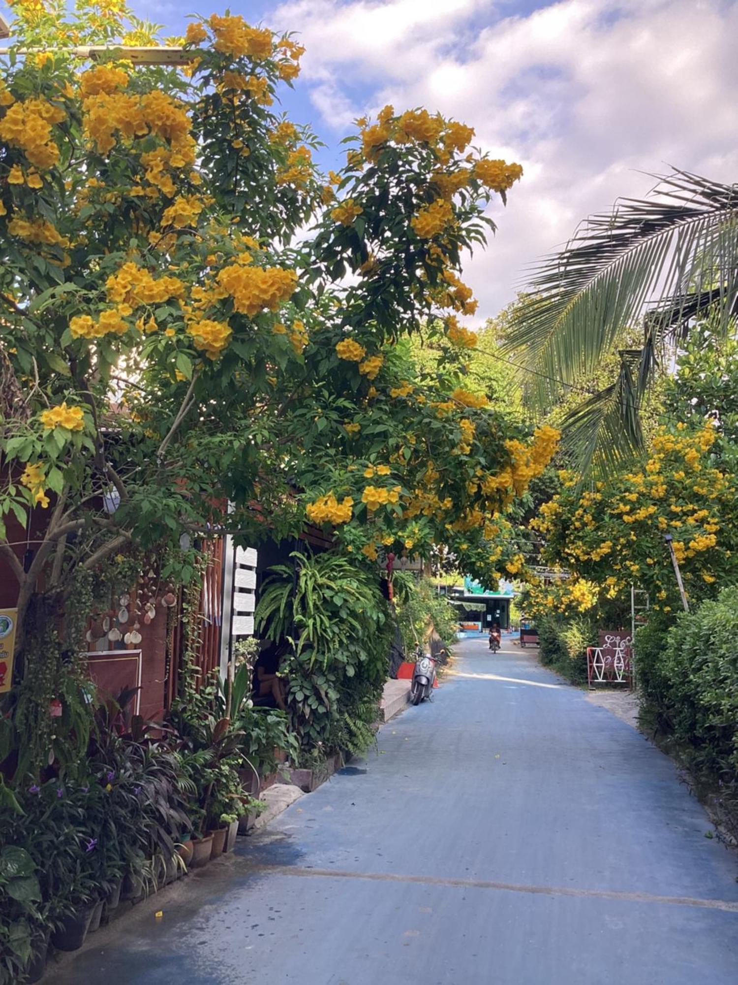 Nest Hostel Lipe المظهر الخارجي الصورة